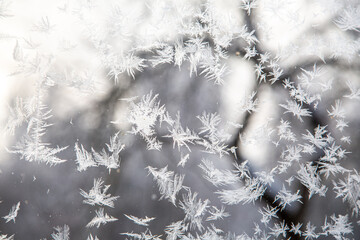 Snowflakes on the glass of the window. Close-up