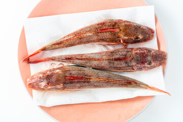 gurnards on white. East Atlantic red gurnard or soldier .food and sale Market, supermarket