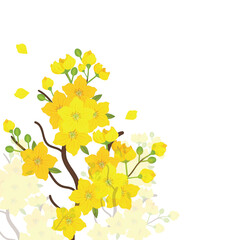Apricot blossom tree branch with yellow flowers 