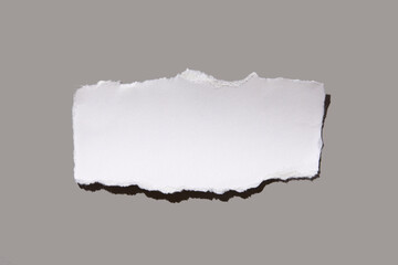 Torn peace of paper on gray background