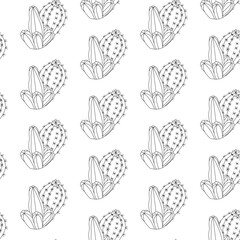 Cactus with branches and plump blooming cactus in doodle style. Simple seamless pattern. Vector illustration.