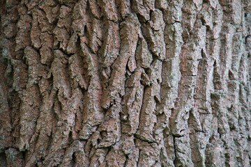 texture