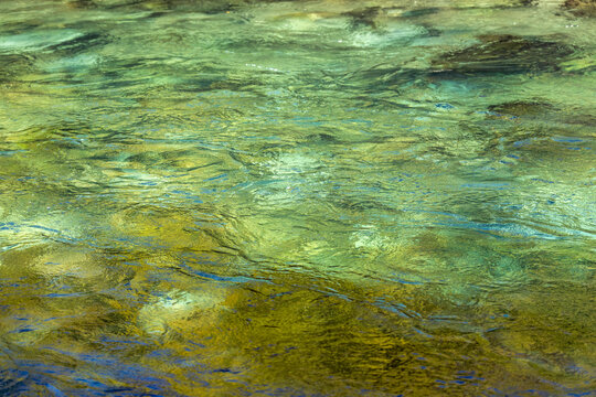 Green surface of shallow river