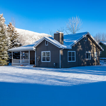 Single bare tree in snow covered field