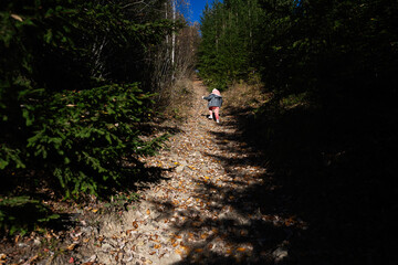 Child hiking through a forest path on a sunny day