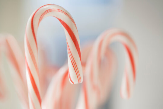 USA, New Jersey, Chatham, Close-up of Christmas candy canes