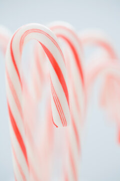 USA, New Jersey, Chatham, Close-up of Christmas candy canes