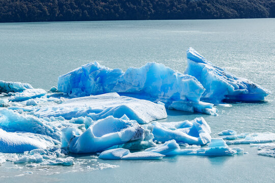 Argentina, Santa Cruz, El Calafate, Perito Moreno glacier ice formations floating on water