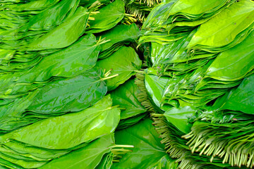 Fresh green betel leaves arranged in baskets in a Pune market, India