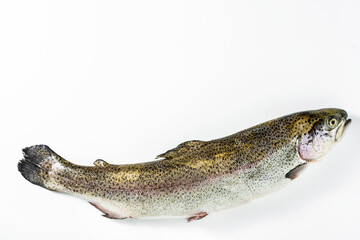 Naklejka premium Raw salmon trout on white. Fjord Trout
