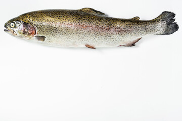 Raw salmon trout on white. Fjord Trout