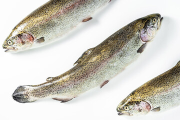 Raw salmon trout on white. Fjord Trout