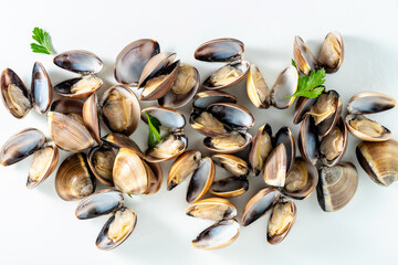 fresh raw Italian clams on white, high quality