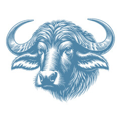 buffalo vector illustration