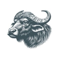 buffalo vector illustration