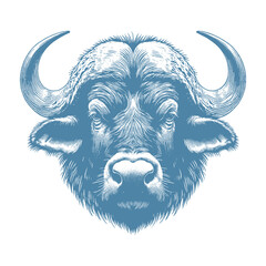 buffalo vector illustration