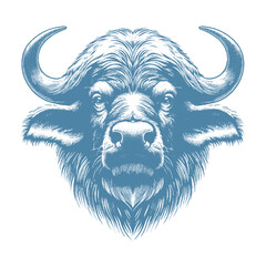 buffalo vector illustration