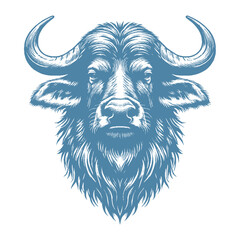 buffalo vector illustration