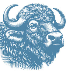 buffalo vector illustration