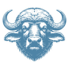 buffalo vector illustration