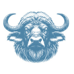 buffalo vector illustration