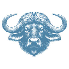buffalo vector illustration