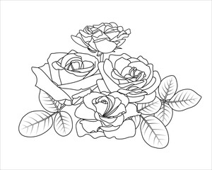 Floral Horizontal Composition. Roses, buds and leaves. Outline flowers bouquet. Botanical illustration. Design elements in contour style. Coloring book page, Valentine, décor, cards, invitations