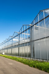 Greenhouse white blue sky sunshine modern Westland Netherlands