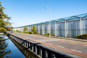 Greenhouse white blue sky sunshine modern Westland Netherlands