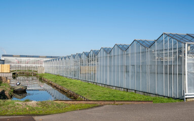 Greenhouse white blue sky sunshine modern Westland Netherlands