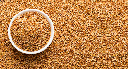 Dried yellow mustard seeds in bowl - Sinapis alba.