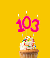 Number 103, Pink birthday candle - Cupcake birthday.