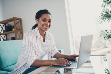 Photo of pretty young girl sit sofa use laptop table wear shirt modern interior apartment indoors