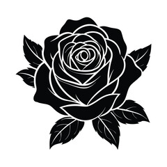 Obraz premium beautiful rose flower vector art illustration