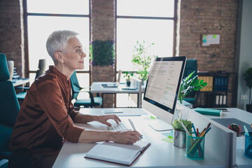 Photo of mature old female write notebook work computer dressed brown shirt office professional...