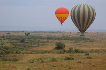 Hot air balloons flying over African savannah landscape	