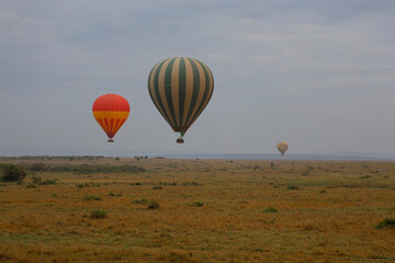 Hot air balloons flying over African savannah landscape	