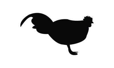 Wild Rooster Silhouette And Vector Illustration. 