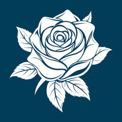 beautiful rose flower vector art illustrator