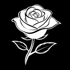beautiful rose flower vector art illustrator