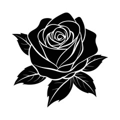 beautiful rose flower vector art illustrator