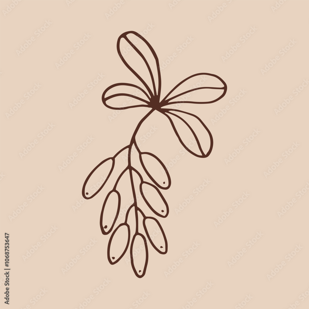 Canvas Prints branch with leaves and barberry. botanical element. hand drawn vector illustration in outline style.