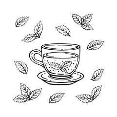 Cup of tea with mint leaves. Hand drawn vector illustration in outline style.