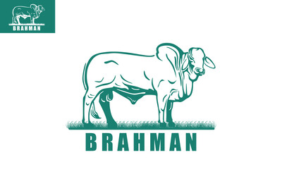 brahman cattle standing logo, silhouette of great big cow vector illustrations