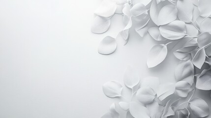 White rose petals on a white background, creating a simple and elegant design. Perfect for branding, product photography or minimalist aesthetics.