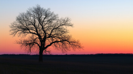 the stand alone dead tree, has a many branches in the twilight sunset ambience. Generative AI