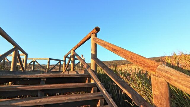 Walkway with wooden steps on Cuesta Maneli beach, located in a very unique environment, the fossil dune system of El Asperillo, located within the Do&ntilde;ana Natural Park , Huelva, Spain.