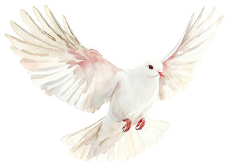 Obraz premium PNG Flying Bird bird illustration watercolor.