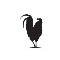 silhouette of a rooster on a white background