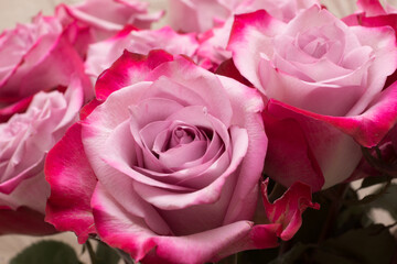 large bouquet of fresh red roses in a vase